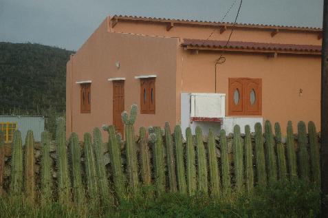 20060117153318   Cactus fence